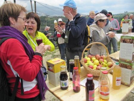 Pomlad v prleških goricah 2013 14